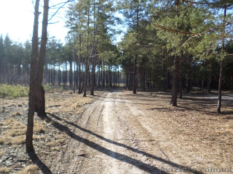 Продам участок в с.Цибли - <ro>Изображение</ro><ru>Изображение</ru> #2, <ru>Объявление</ru> #1278153