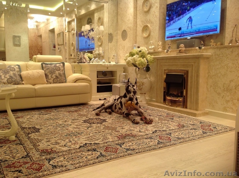 Акция! Продажа элитных ковров по низким ценам! - <ro>Изображение</ro><ru>Изображение</ru> #5, <ru>Объявление</ru> #1293725