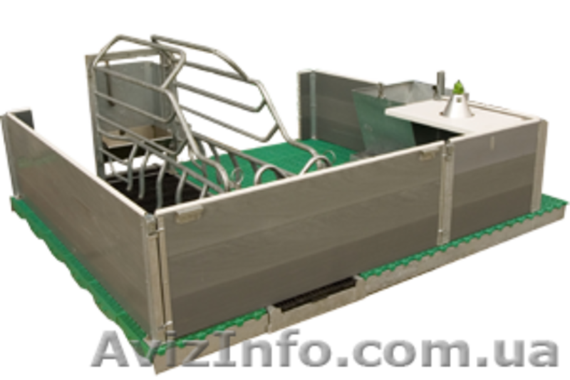 Продаю станки для группового содержания свиней - <ro>Изображение</ro><ru>Изображение</ru> #3, <ru>Объявление</ru> #1293283