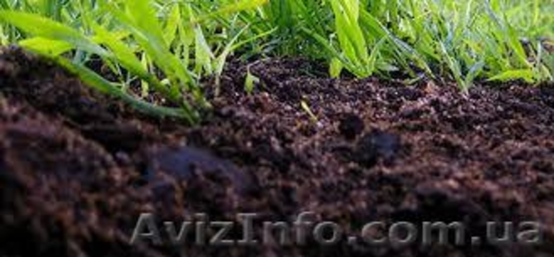 Купить чернозем Киев и Киевская область недорого доставка - <ro>Изображение</ro><ru>Изображение</ru> #4, <ru>Объявление</ru> #1295210