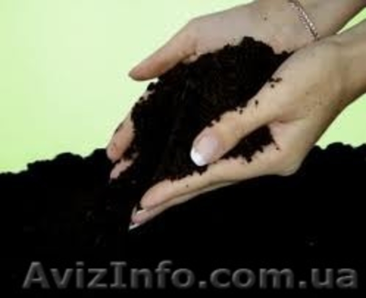 Купить чернозем Киев и Киевская область недорого доставка - <ro>Изображение</ro><ru>Изображение</ru> #3, <ru>Объявление</ru> #1295210