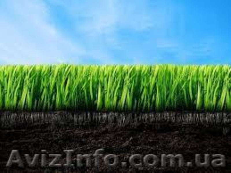 Купить чернозем Киев и Киевская область недорого доставка - <ro>Изображение</ro><ru>Изображение</ru> #1, <ru>Объявление</ru> #1295210