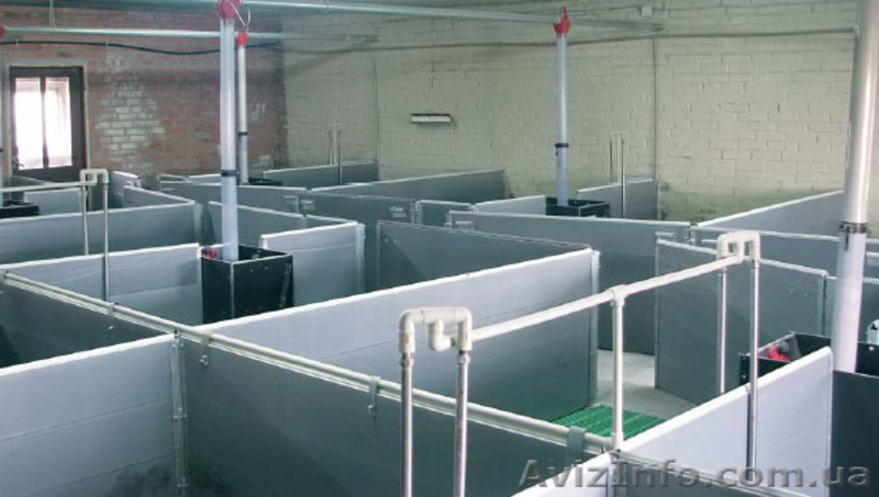 Продаю станки для группового содержания свиней - <ro>Изображение</ro><ru>Изображение</ru> #2, <ru>Объявление</ru> #1293283