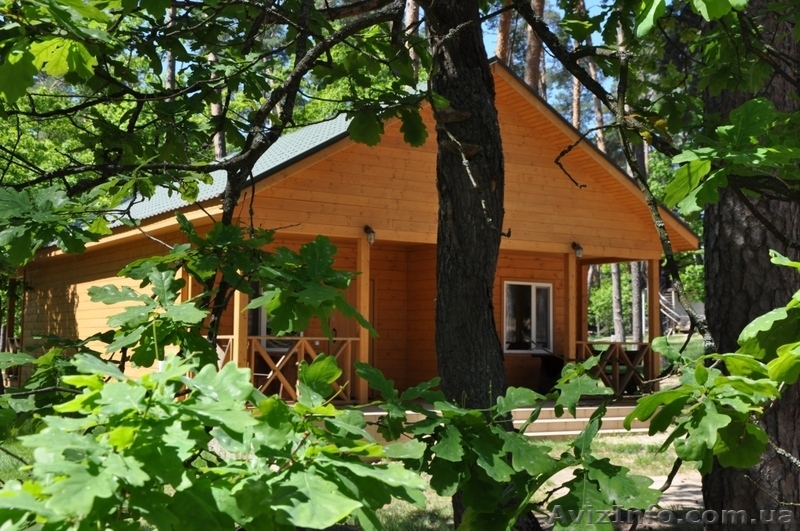 Активный семейный отдых на берегу Десны - <ro>Изображение</ro><ru>Изображение</ru> #1, <ru>Объявление</ru> #1292366