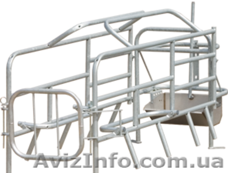 продаю станки для осеменения и опороса свиноматок - <ro>Изображение</ro><ru>Изображение</ru> #3, <ru>Объявление</ru> #1293301