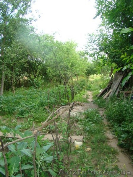 Недострой дом в Козинцах - <ro>Изображение</ro><ru>Изображение</ru> #6, <ru>Объявление</ru> #1301061