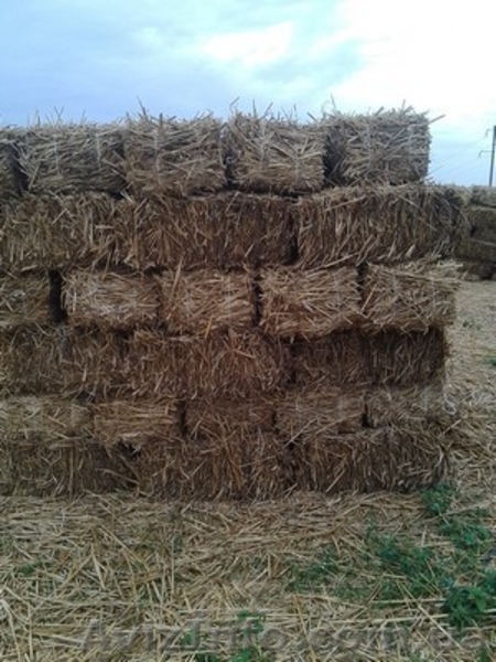 Кули из камыша, снопа, утеплитель - <ro>Изображение</ro><ru>Изображение</ru> #1, <ru>Объявление</ru> #1307151