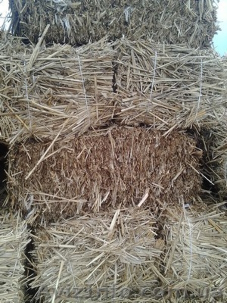 Кули из камыша, снопа, утеплитель - <ro>Изображение</ro><ru>Изображение</ru> #2, <ru>Объявление</ru> #1307151