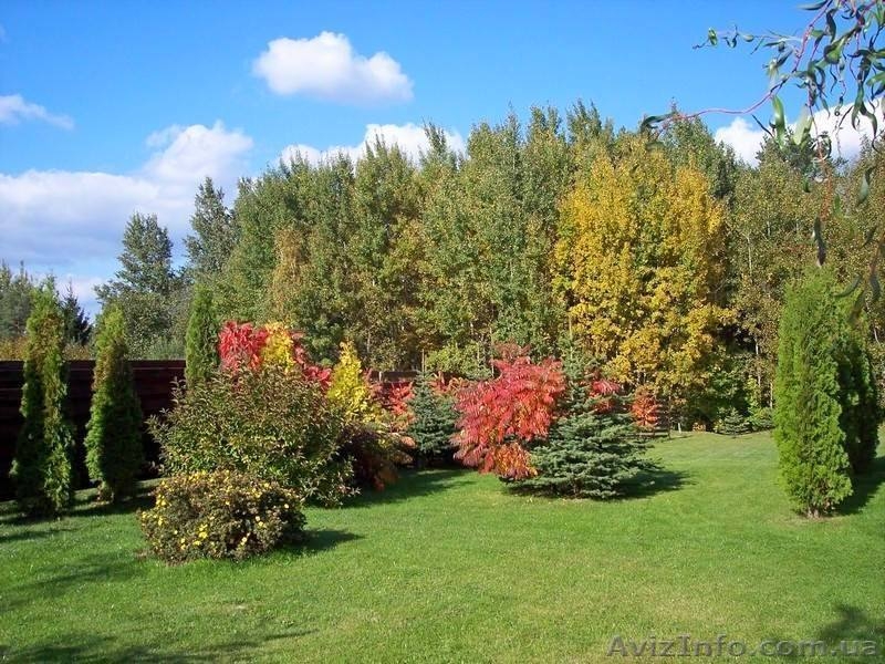 Литва - Продается отличный дом на юго-западной окраине города Вильнюс - <ro>Изображение</ro><ru>Изображение</ru> #5, <ru>Объявление</ru> #1317346