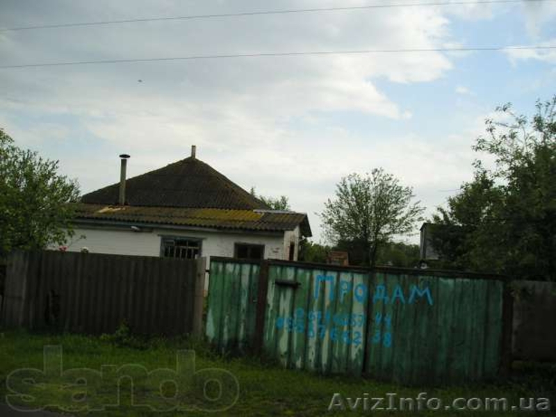 Мена, Черниговская область, Менский район, с.Гусавка ул.Радянська 49 - <ro>Изображение</ro><ru>Изображение</ru> #8, <ru>Объявление</ru> #1311433