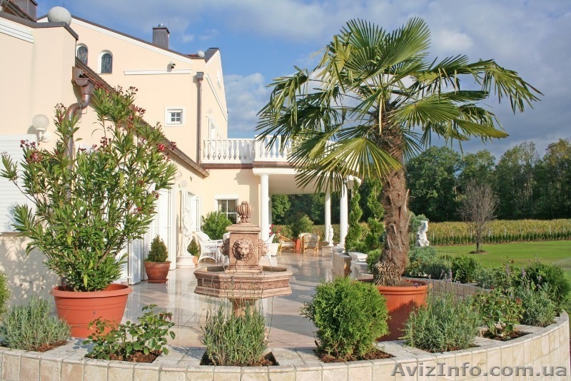 Продается шикарная вилла в Австрии в городке Ферлах на берегу реки Драва - <ro>Изображение</ro><ru>Изображение</ru> #3, <ru>Объявление</ru> #1317748