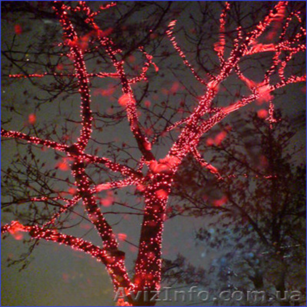 Гирлянда нить светодиодная,гирлянды Led,декоративное освещение - <ro>Изображение</ro><ru>Изображение</ru> #5, <ru>Объявление</ru> #1317987