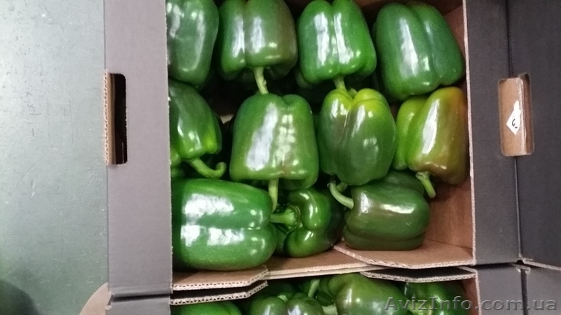 Перец. Прямые поставки из Испании - <ro>Изображение</ro><ru>Изображение</ru> #3, <ru>Объявление</ru> #1329032