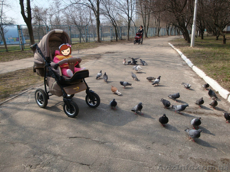 Продам коляску Adamex универсальная коляска 2 в 1 Mars - <ro>Изображение</ro><ru>Изображение</ru> #3, <ru>Объявление</ru> #1324781