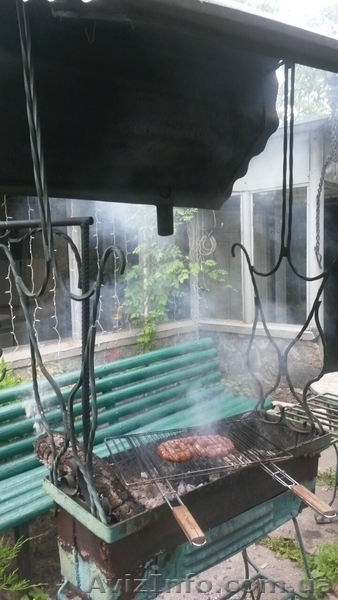 Посуточно сдам дачу в лесу (г Украинка) - <ro>Изображение</ro><ru>Изображение</ru> #9, <ru>Объявление</ru> #982374