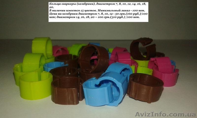 Кольца для голубей. Маркерные кольца (кембрики) - <ro>Изображение</ro><ru>Изображение</ru> #9, <ru>Объявление</ru> #1091726