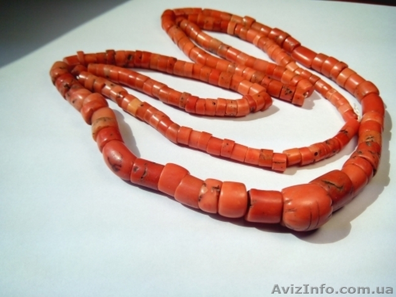 Янтарные бусы, коралловые бусы, бивни животных и т.д. Купим дорого - <ro>Изображение</ro><ru>Изображение</ru> #3, <ru>Объявление</ru> #1342112