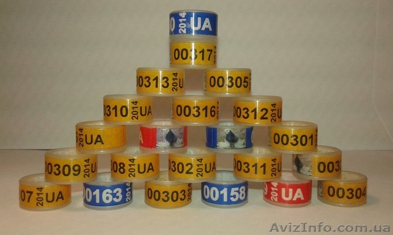 Кольца для голубей. Маркерные кольца (кембрики) - <ro>Изображение</ro><ru>Изображение</ru> #6, <ru>Объявление</ru> #1091726