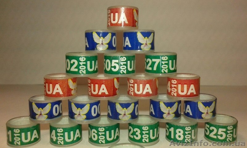 Кольца для голубей. Маркерные кольца (кембрики) - <ro>Изображение</ro><ru>Изображение</ru> #7, <ru>Объявление</ru> #1091726