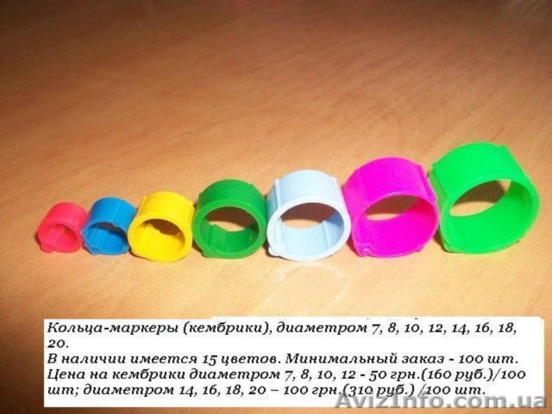 Кольца для голубей. Маркерные кольца (кембрики) - <ro>Изображение</ro><ru>Изображение</ru> #8, <ru>Объявление</ru> #1091726