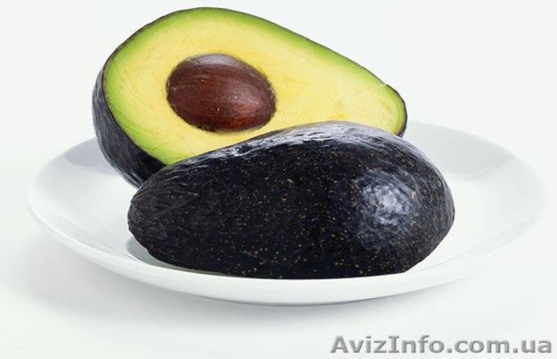 Продам авокадо, сорт Хасс (Hass), оптом и в розницу - <ro>Изображение</ro><ru>Изображение</ru> #3, <ru>Объявление</ru> #1335039