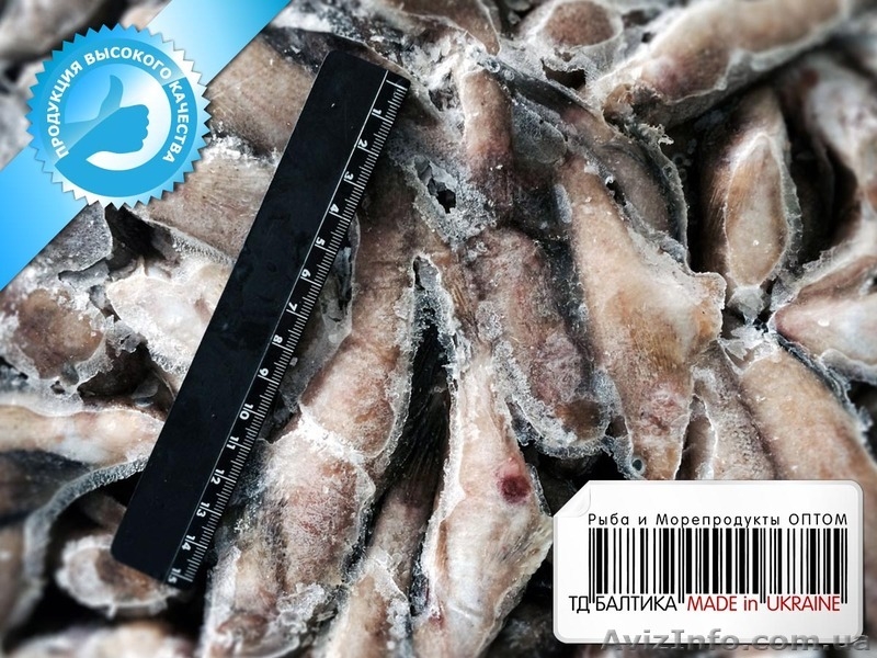 Бычки крупные и средние свежемороженые оптом - <ro>Изображение</ro><ru>Изображение</ru> #1, <ru>Объявление</ru> #1334085