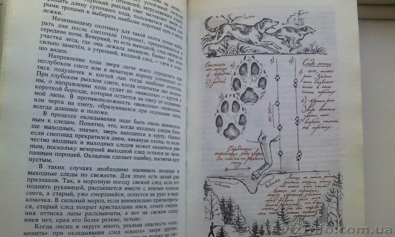 Советы начинающему охотнику А. В. Сицко, М. М. Блюм, И. Б. Шишкин - <ro>Изображение</ro><ru>Изображение</ru> #3, <ru>Объявление</ru> #1342162