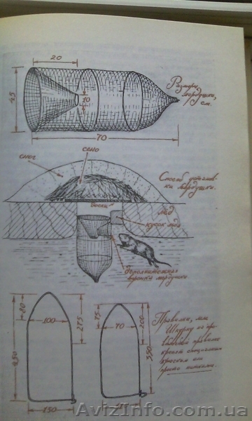 Советы начинающему охотнику А. В. Сицко, М. М. Блюм, И. Б. Шишкин - <ro>Изображение</ro><ru>Изображение</ru> #4, <ru>Объявление</ru> #1342162