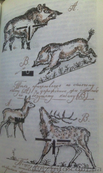 Советы начинающему охотнику А. В. Сицко, М. М. Блюм, И. Б. Шишкин - <ro>Изображение</ro><ru>Изображение</ru> #5, <ru>Объявление</ru> #1342162