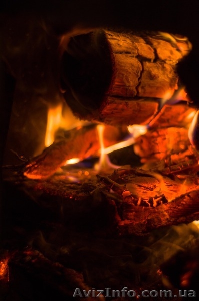 Посуточно сдам дачу в лесу (г Украинка) - <ro>Изображение</ro><ru>Изображение</ru> #10, <ru>Объявление</ru> #982374