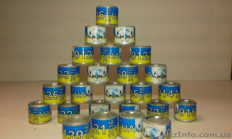 Кольца для кур. Маркерные кольца (кембрики) - <ro>Изображение</ro><ru>Изображение</ru> #8, <ru>Объявление</ru> #1268917