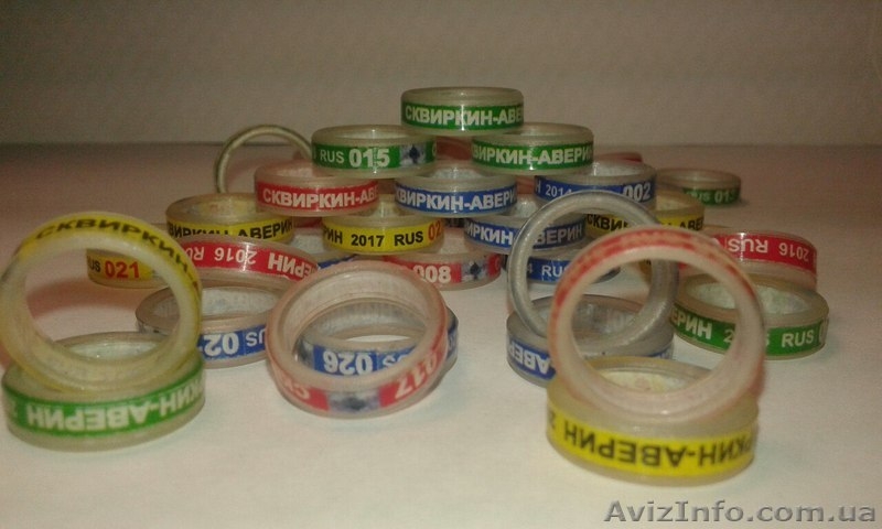 Кольца для кур. Маркерные кольца (кембрики) - <ro>Изображение</ro><ru>Изображение</ru> #7, <ru>Объявление</ru> #1268917