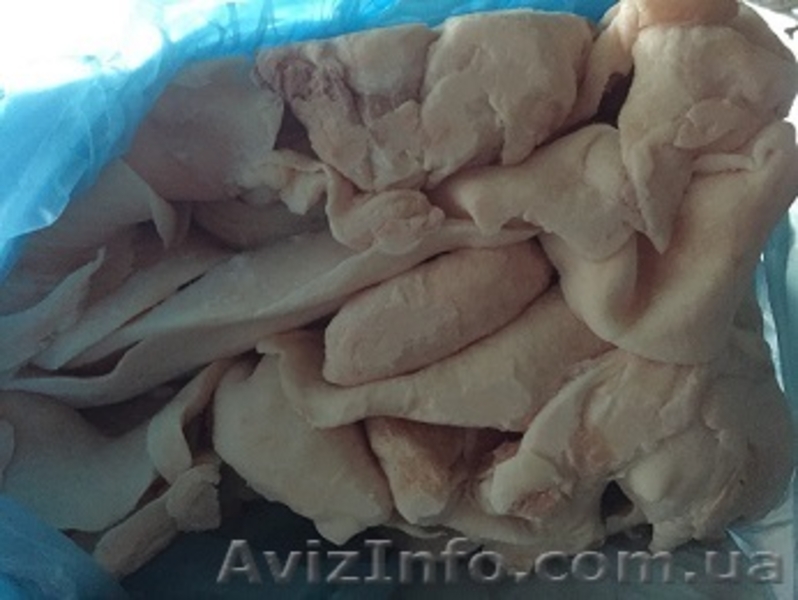 Продам сало оптом - <ro>Изображение</ro><ru>Изображение</ru> #2, <ru>Объявление</ru> #1342978