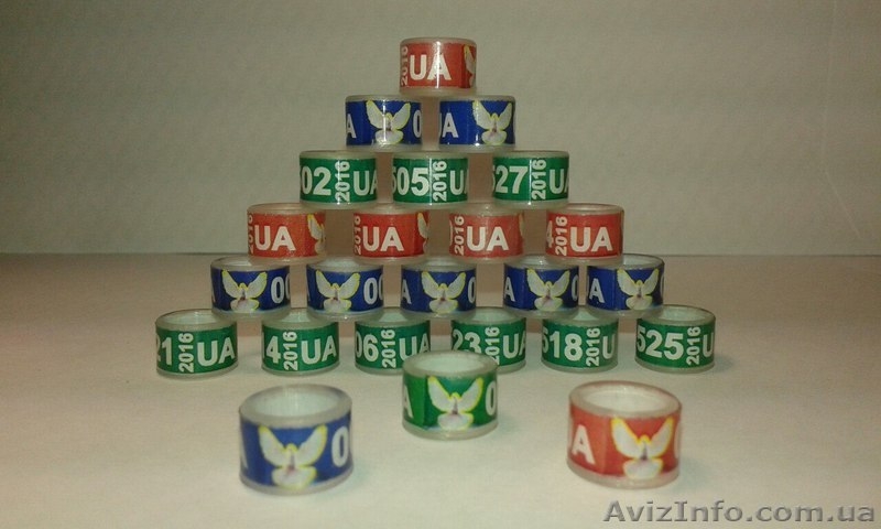 Кольца для кур. Маркерные кольца (кембрики) - <ro>Изображение</ro><ru>Изображение</ru> #5, <ru>Объявление</ru> #1268917