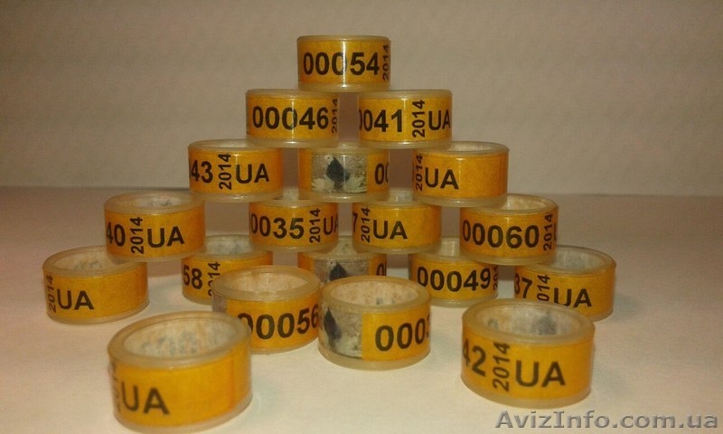 Кольца для кур. Маркерные кольца (кембрики) - <ro>Изображение</ro><ru>Изображение</ru> #4, <ru>Объявление</ru> #1268917