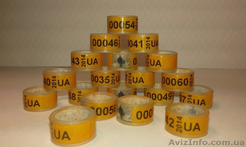 Кольца для кур. Маркерные кольца (кембрики) - <ro>Изображение</ro><ru>Изображение</ru> #3, <ru>Объявление</ru> #1268917