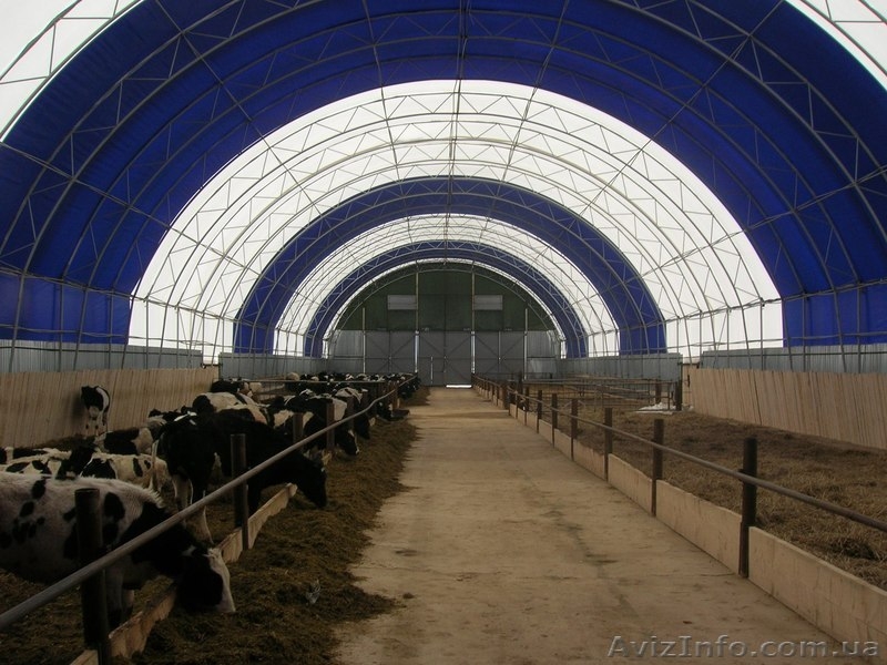 Изготовление ангаров с накрытием из профнастила - <ro>Изображение</ro><ru>Изображение</ru> #2, <ru>Объявление</ru> #1344148