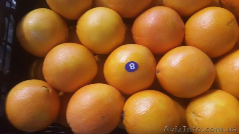 Продам оптом Апельсин, Мандарин, Лимон Турция, Харьковская обл, г. Киев - <ro>Изображение</ro><ru>Изображение</ru> #4, <ru>Объявление</ru> #1350003