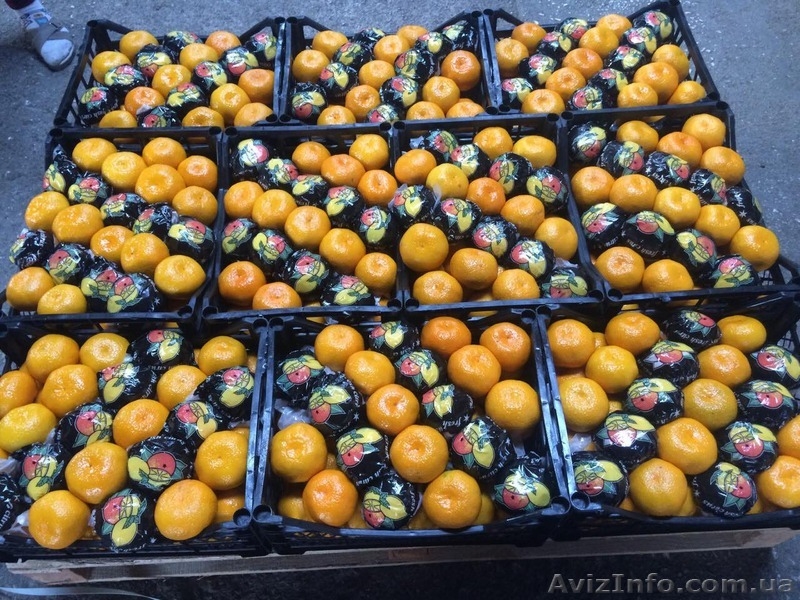 Продам оптом Апельсин, Мандарин, Лимон Турция, Харьковская обл, г. Киев - <ro>Изображение</ro><ru>Изображение</ru> #6, <ru>Объявление</ru> #1350003