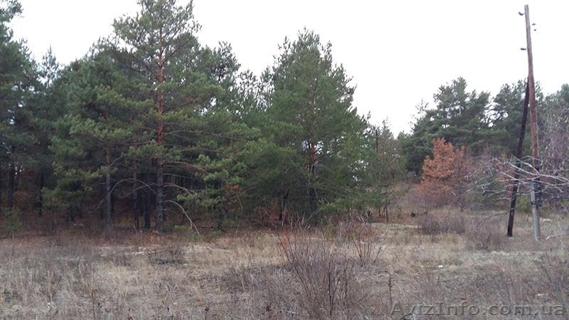Земельный участок 10сот., 70м от Киевского моря - <ro>Изображение</ro><ru>Изображение</ru> #4, <ru>Объявление</ru> #1347869