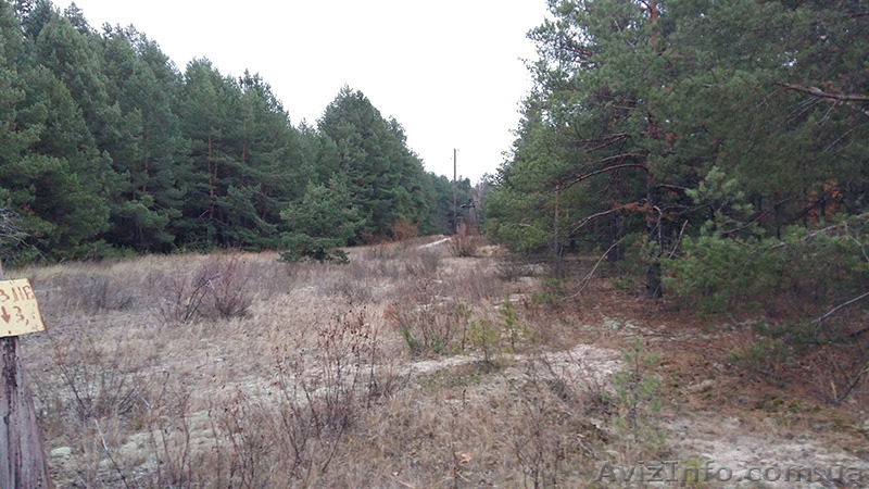 Земельный участок 10сот., 70м от Киевского моря - <ro>Изображение</ro><ru>Изображение</ru> #5, <ru>Объявление</ru> #1347869