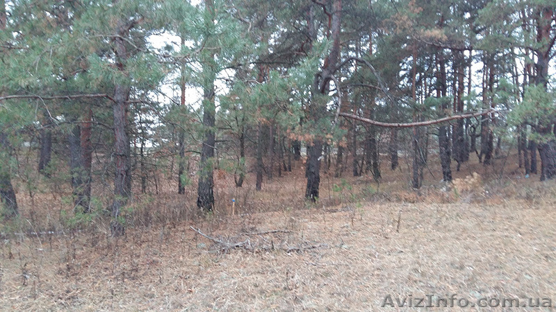 Земельный участок 10сот., 70м от Киевского моря - <ro>Изображение</ro><ru>Изображение</ru> #7, <ru>Объявление</ru> #1347869