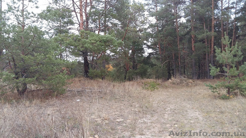 Земельный участок 10сот., 70м от Киевского моря - <ro>Изображение</ro><ru>Изображение</ru> #8, <ru>Объявление</ru> #1347869