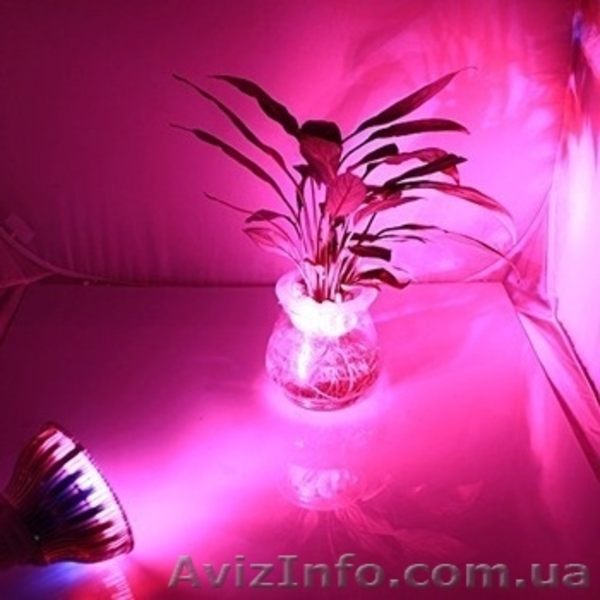 Фитолампы для растений - <ro>Изображение</ro><ru>Изображение</ru> #2, <ru>Объявление</ru> #1365229