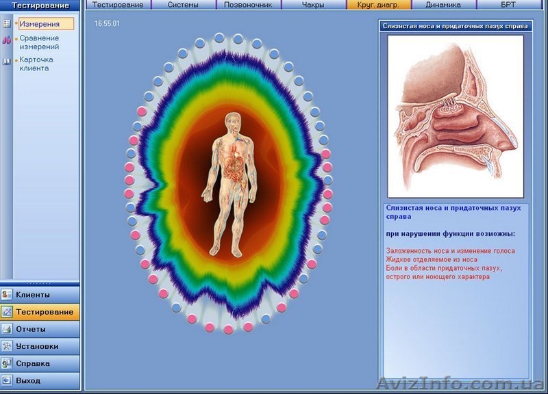 Биорезонансное экспресс-тестирование диагностика на БРИС в Киеве - <ro>Изображение</ro><ru>Изображение</ru> #3, <ru>Объявление</ru> #1365307