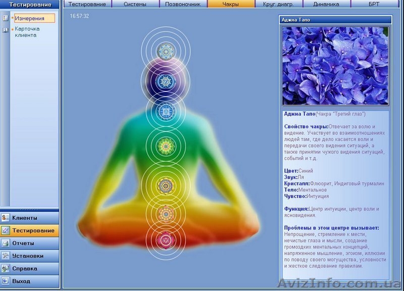 Биорезонансное экспресс-тестирование диагностика на БРИС в Киеве - <ro>Изображение</ro><ru>Изображение</ru> #4, <ru>Объявление</ru> #1365307