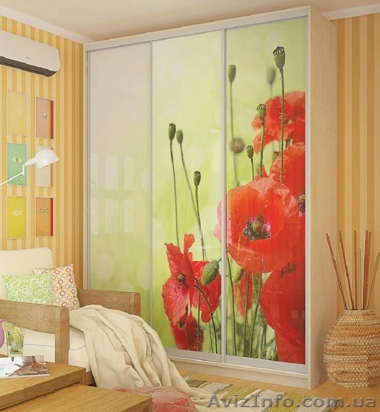 Шкафы-купе от "Vip-master" - <ro>Изображение</ro><ru>Изображение</ru> #3, <ru>Объявление</ru> #1357645