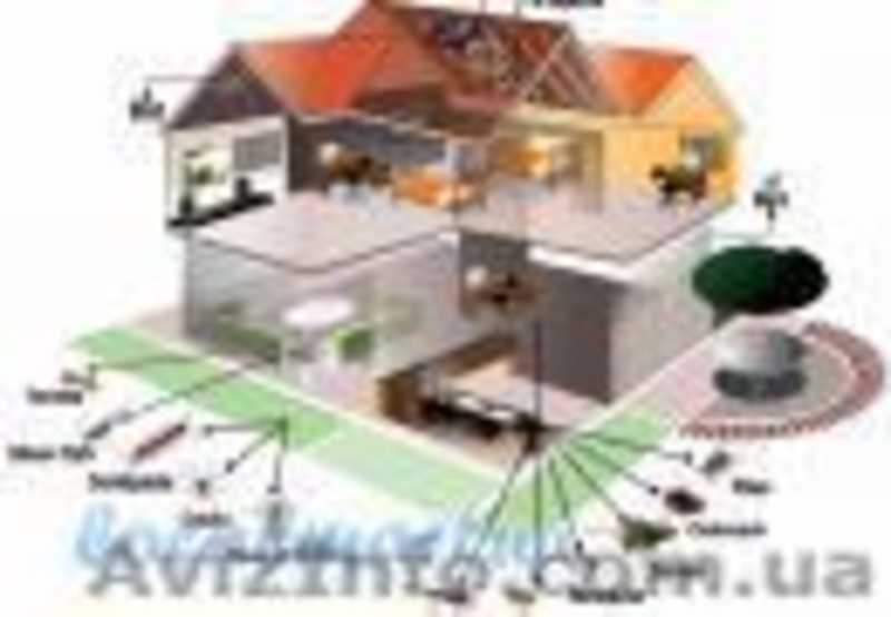 Уничтожение насекомых, грызунов. - <ro>Изображение</ro><ru>Изображение</ru> #3, <ru>Объявление</ru> #880355