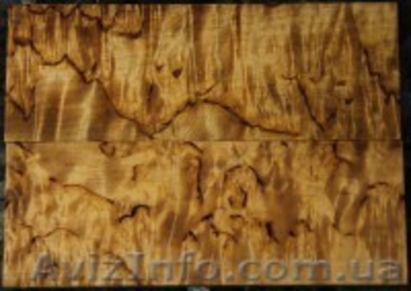 Кап, сувель, бруски, корень, торцевой срез  с красивешей текстурой. - <ro>Изображение</ro><ru>Изображение</ru> #2, <ru>Объявление</ru> #1371751