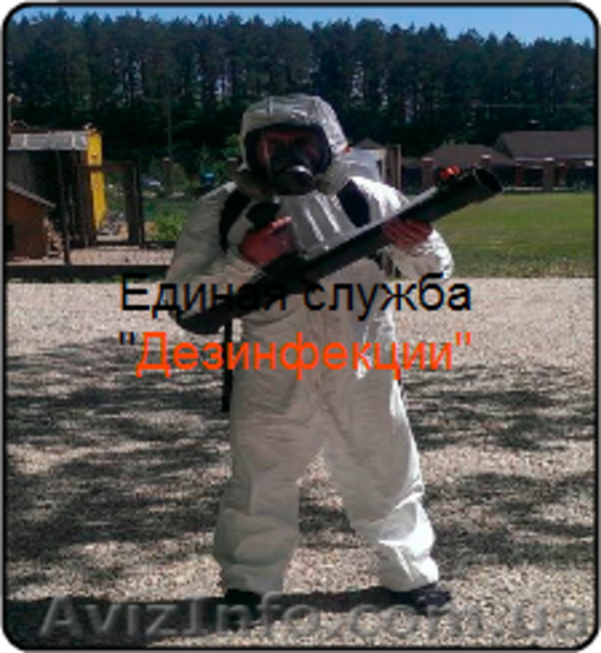 Уничтожение насекомых, грызунов. - <ro>Изображение</ro><ru>Изображение</ru> #5, <ru>Объявление</ru> #880355